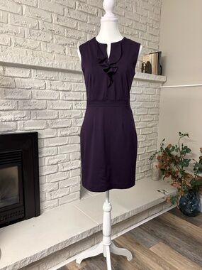 Banana Republic Sleeveless Ruffle-Front Sheath Dress in Plum Size 2